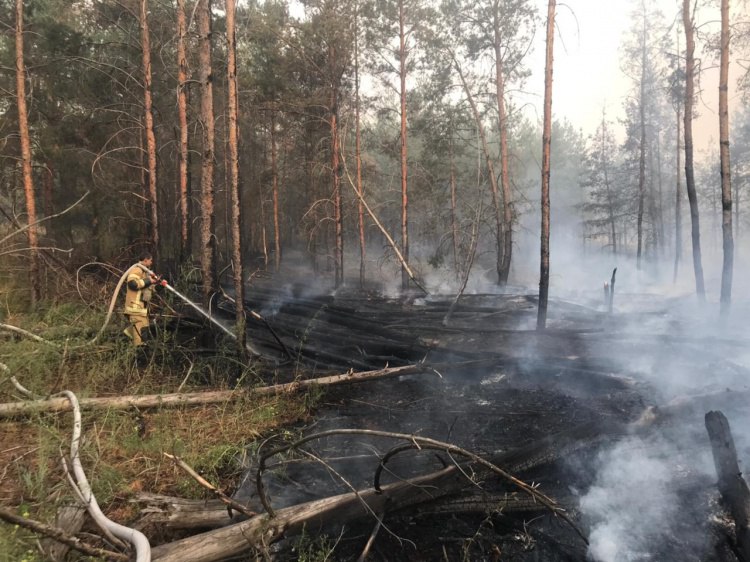 Под Волгоградом с родителей пиромана взыскали полмиллиарда рублей за сгоревший лес Старополтавский районный суд удовлетворил иск областного комитета природных ресурсов лесного хозяйства и экологии о компенсации ущерба причиненного лесным пожаром Гражданский иск более чем на 496 миллионов рублей был предъявлен родителям несовершеннолетнего пиромана поджегшего лес Как сообщили Волжский ру в объединенной пресс службе судов общей юрисдикции в июле прошлого года молодой человек совершил пожог деревьев и сухой растительности в Старополтавском лесничестве В результате разгоревшийся верховой пожар уничтожил лес В ноябре 2024 года по факту поджога было возбуждено уголовное дело Однако подсудимый оказался невменяемым в связи с чем дело прекратили а парня отправили на принудительное лечение Подробнее на Волжский ру   www volzsky ru index php wx 16 wx2 80768 ВолжскийРу волжский vlz