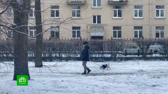 Оштрафована первая владелица собаки выгуливавшая питомца в парке Победы с нарушением нового закона Женщина получила штраф в 3 тысячи рублей за то что ретривер был без намордника Сотрудники комитета по вопросам безопасности и правопорядка провели первый рейд с момента принятия закона о содержании и выгуле собак в новой редакции Подписаться на НТВ Петербург Буст канала