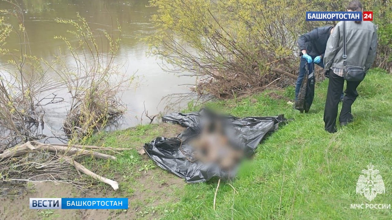 В Башкортостане устанавливают личность мужчины, чье тело извлекли из реки Белой в Белорецком районе Вблизи деревни Сосновка Белорецкого района Башкортостана из реки Белая спасатели извлекли тело мужчины. Личность погибшего устанавливается. На месте происшествия проводятся оперативно-следственные мероприятия, сообщили в пресс-службе МЧС по РБ. Подписаться Сообщить новости