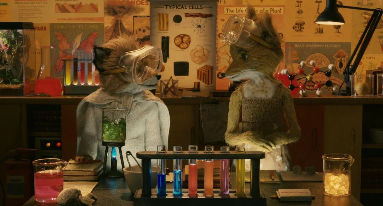 Time опубликовал список самых недооцененных фильмов XXI века Его составила кинокритик издания Стефани Захарек Она выбрала 50 картин которые живут в нашей памяти по неопределенным причинам В перечень вошли Выживут только любовники Джима Джармуша Яркая звезда Джейн Кэмпион 25 й час Спайка Ли Долгая помолвка Жан Пьера Жене Бесподобный мистер Фокс Уэса Андерсона Ферма Мадбаунд Ди Рис Больше новостей в Daily News