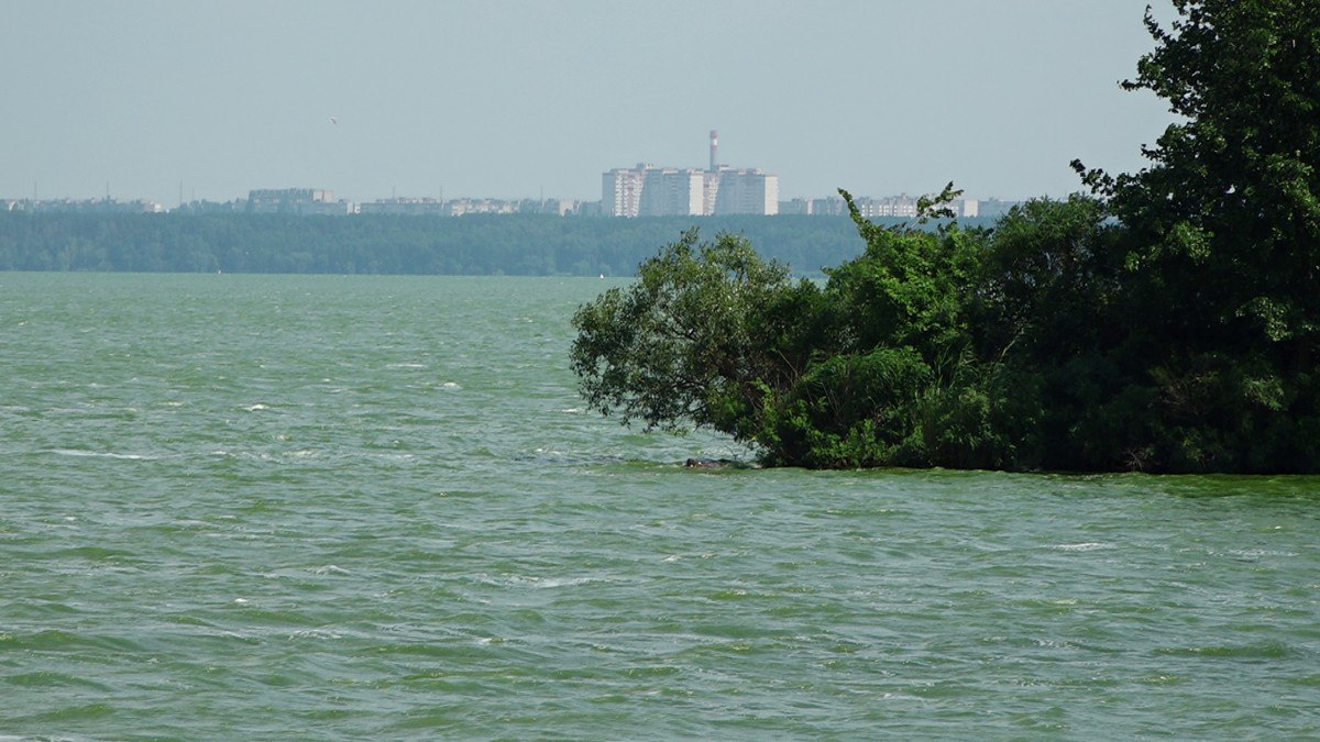 В Воронежском водохранилище в несколько раз превысило норму количество опасных бактерий Специалисты Роспотребнадзора направили письмо в адрес мэра города Сергея Петрина с требованием принять меры и установить аншлаги о запрете купания в трёх местах: место массового отдыха, расположенное у северной границы Воронежского водохранилища, в 120 м на юго-запад от автодороги федерального значения М-4 «Дон» в 1 км на юго-восток от автодорожного моста ; место массового отдыха, расположенное в 0,8 км южнее автодороги М-4 «Дон», в 2,4 км на юго-восток от автодорожного моста через реку р. Воронеж, на территории Железнодорожного района городского округа город Воронеж Пески ; в месте отдыха в 1,2 км северо-западнее железнодорожного моста на территории ООО «Клинический санаторий им. Горького».