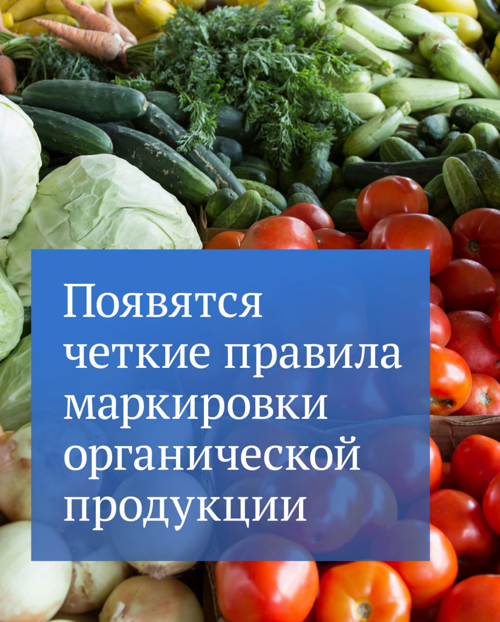 Просто так нанести на продукты знак «био» или «эко» больше не получится — депутаты приняли в первом чтении законопроект, который вводит четкие правила в этой сфере. Напомним, ранее уже был принят закон, согласно которому маркировать продукцию как экологическую, органическую, биологическую и т. д. можно, только если она соответствует определенным требованиям. Однако есть товарные знаки и фирменные наименования, которые безосновательно имеют такое обозначение в названии. По сути, покупателей вводят в заблуждение. После принятия законопроекта такие компании должны будут либо перейти на органическое производство, либо перерегистрировать товарные знаки.