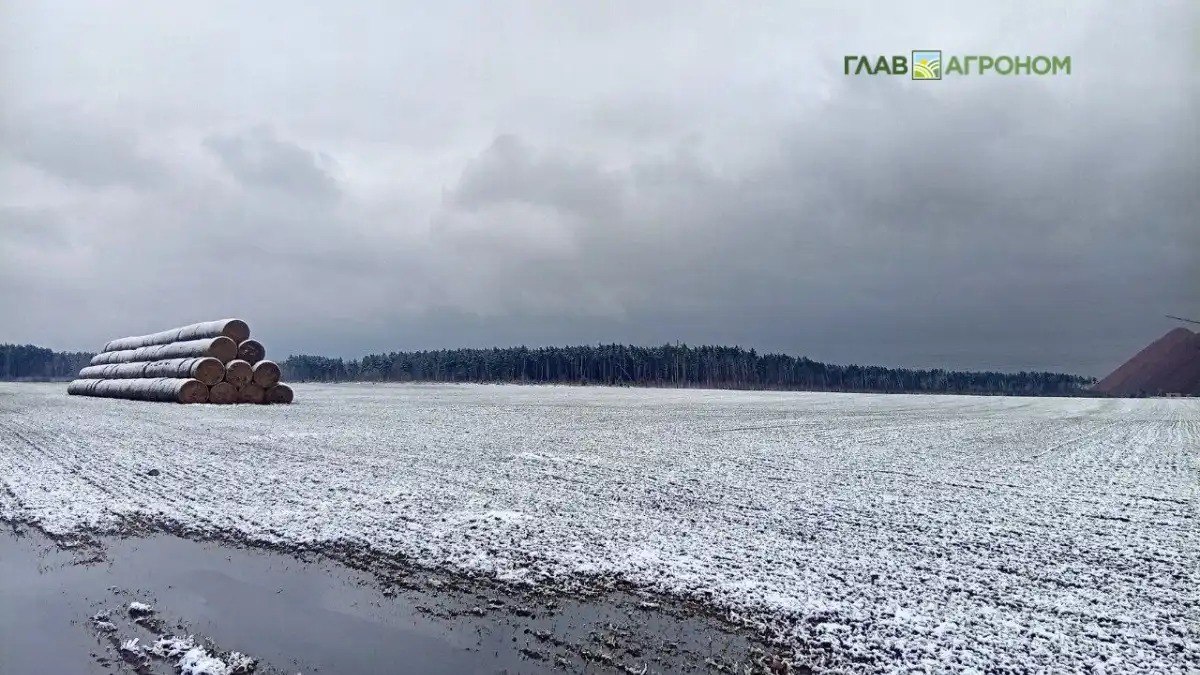 Получение льготных кредитов планируют увязать со страхованием посевов В Минсельхозе России планируют увязать предоставление аграриям льготных кредитов на сезонные полевые работы со страхованием посевов Решение прокомментировала первый замминистра сельского хозяйства Елена Фастова Подробности