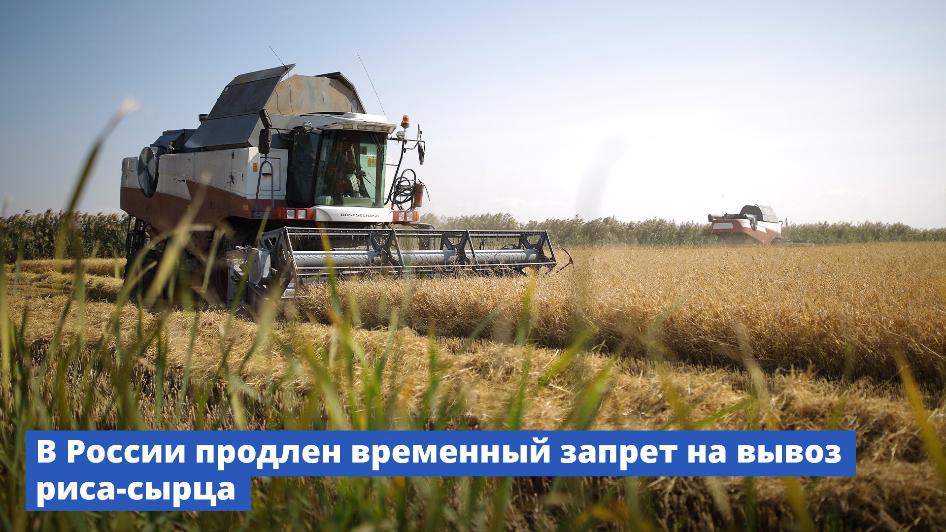 Минсельхоз России VK В России продлен временный запрет на вывоз риса-сырца Ограничение будет действовать с 1 июля до 31 декабря 2025 года. Решение принято для поддержания стабильного обеспечения внутреннего рынка этой продукцией. Запрет на вывоз риса-сырца не распространяется на поставки: • в государства – члены ЕАЭС, • Абхазию, • Южную Осетию, • за рубеж для оказания гуманитарной помощи, • в рамках международных транзитных перевозок. С учетом запросов со стороны государств-партнеров о поставках семенного материала, из-под действия временного ограничения исключен рис для посева. Временное ограничение на вывоз риса было введено с 1 июля 2022 года, а затем продлевалось до 30 июня 2025 года включительно. Также готовится к подписанию постановление об установлении тарифной квоты на вывоз отдельных видов обработанного риса и рисовой крупы. До 30 июня 2025 года на вывоз этой продукции действует временный запрет.