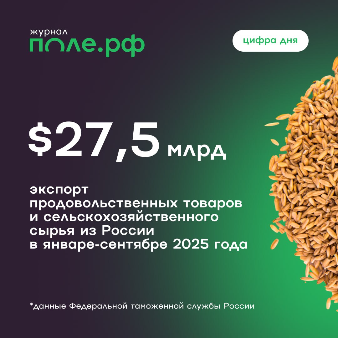 Экспорт российской продукции АПК упал на 11 1 в январе сентябре 2025 года сообщили в Федеральной таможенной службе ФТС При этом импорт продовольствия вырос на 14 6 до 31 2 млрд В целом за девять месяцев текущего года экспорт всех видов товаров из России снизился на 4 6 до 302 8 млрд Подробнее цифрадня pole journal