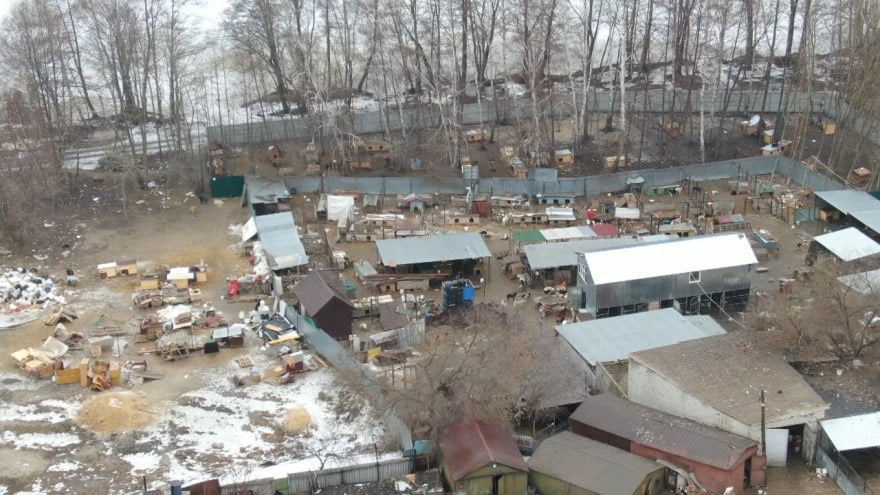 В Воронеже приступили к сносу приюта «Дора» на Левом берегу  Подопечных перевозят на новое место в Новоусманский район, у села Тимирязево. В октябре 2024 года туда уже переехали почти 700 собак.   За 20 лет существование приюта привело к уничтожению берёзовой аллеи у водохранилища и засорению берега. Не все собаки содержались в вольерах, а зимой на выгул их водили прямо по льду.