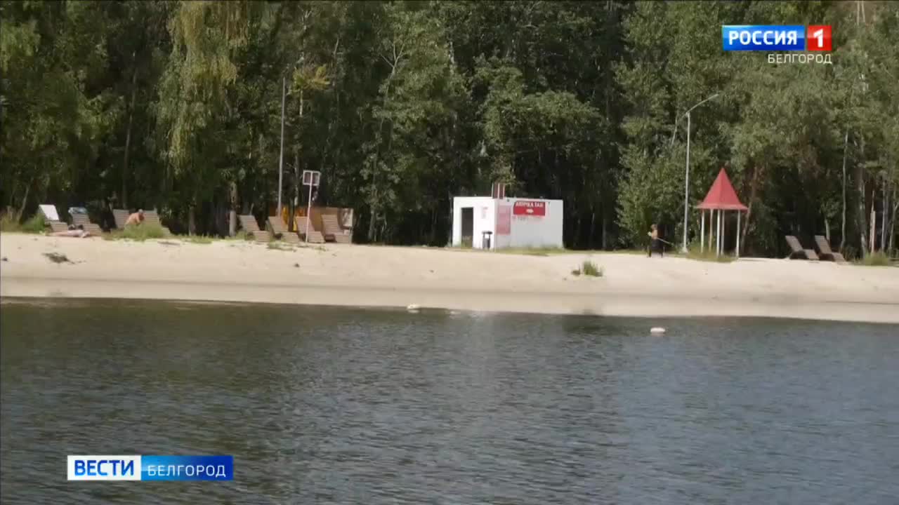 Смертельные случаи на диких пляжах Крыма: МЧС предупреждает