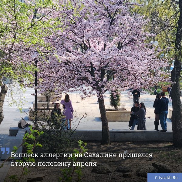Температурные аномалии весны текущего года добавили сюрпризов людям, подверженным аллергии на пыльцу. Сезон поллиноза в этом году показал сразу два пика, в отличие от прошлых лет. Такие выводы сделали аналитики МегаФона, проанализировав обезличенные данные абонентов на сайты мониторинга концентрации пыльцы. Есть о чем рассказать? Пришлите новость