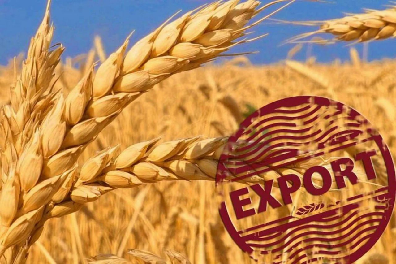 В первом квартале российские аграрии увеличили на 26% поставки продукции в ОАЭ, сообщает федеральный центр «Агроэкспорт». Рекордный рост показали отгрузки молочной продукции: объем увеличился в 7,7 раза. Около трети пришлось на мороженое, экспорт которого вырос в 3 раза. В топ-5 видов продуктов по объему отгрузок в Эмираты вошли пшеница доля 82% , ячмень 8% , зернобобовые 5% , мясо птицы 2% , соевое масло около 1% . При этом, поставки зерновых приросли в 1,3 раза, до 268 тысяч с 209 тысяч тонн, в том числе пшеницы — до 244 тысяч со 139 тысяч тонн. Экспорт зернобобовых вырос в 1,9 раза, где драйвером стала чечевица. Отгрузки мясной продукции также возросли в 1,3 раза.