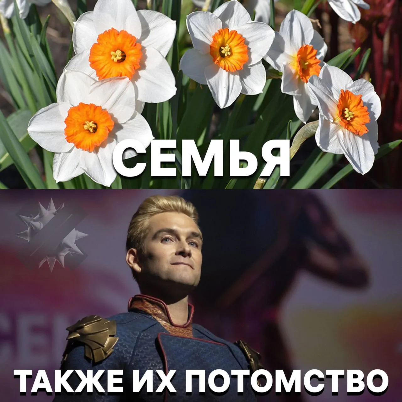 Нарциссизм передаётся по наследству Психологи выяснили стиль воспитания финансы и обстановка в семье влияют на развитие расстройства на 0 Всё решают гены Нарциссы чаще выбирают партнёров с таким же расстройством поэтому нарциссов рождается ещё больше Мнение НМШ