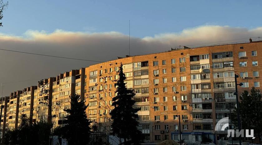 Разграничение государственного имущества отнесло к федеральной собственности почти 52 тыс. объектов недвижимости на территории ЛНР. Об этом в ходе правительственного часа в Народном Совете сообщила министр имущественных и земельных отношений Алена Антонова.  Процедура продолжится до 1 июля 2025 года.  «На данный момент разграничено в региональную собственность 17 387 объектов, в том числе земельных участков — 3 032; в муниципальную собственность — 45 905 объектов, в том числе земельных участков 10 159 объектов, в федеральную собственность — 51 543 объекта, в том числе земельных участков 1 929 объектов», — проинформировала руководитель ведомства.