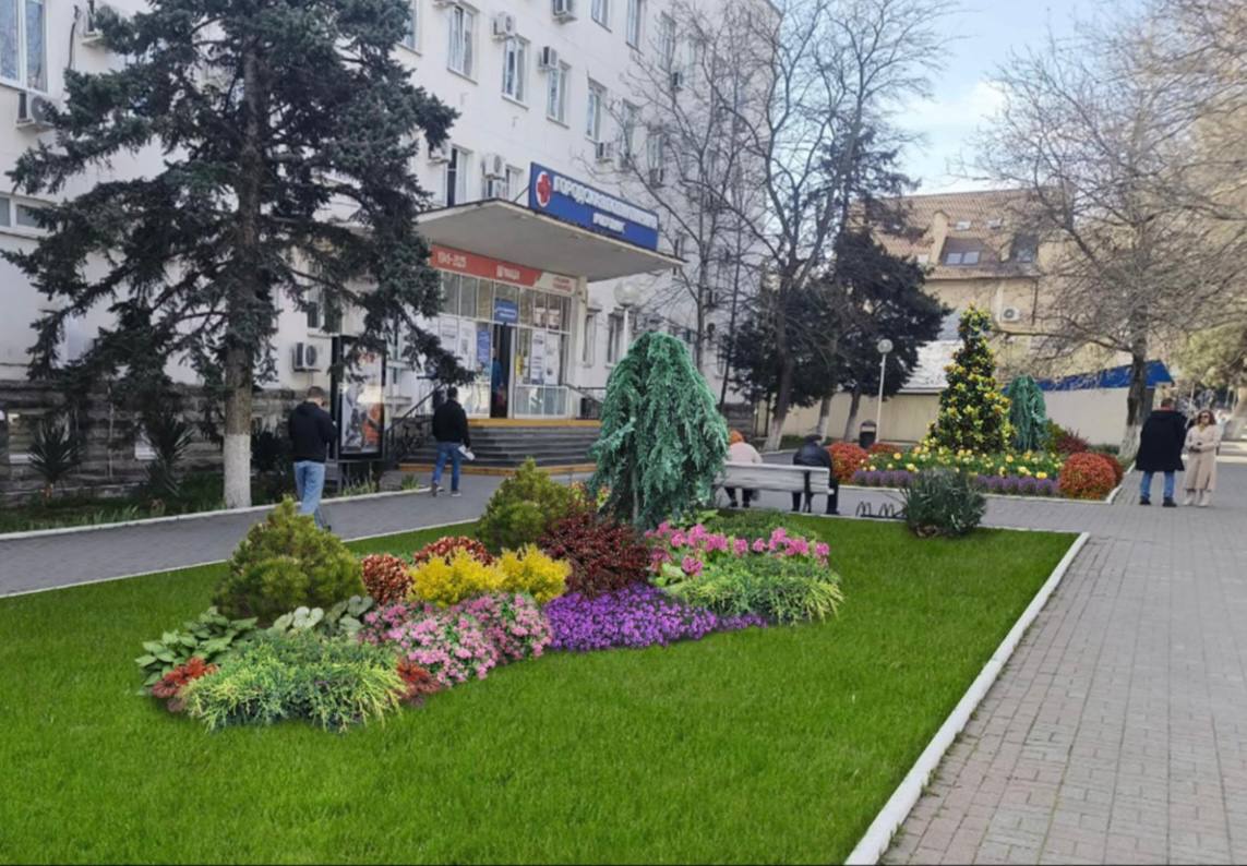Коммунальный блок начал готовиться к осенним посадкам цветов на клумбах города и округов. Главная задача - продлить период декоративности зеленых зон. Концепция каждой клумбы уже подробно разработана и визуализирована. Озеленители продумали каждый элемент оформления. Работают с проверенными временем сортами, такими как тюльпаны, гиацинты, виолы, хризантемы. Новшеством этого года станут маргаритки. Обсудили возможность высадки новых видов растений, которые ранее не появлялись на геленджикских клумбах, а также улучшения дизайна существующих объектов благоустройства. Решено преобразовать некоторые участки, придать новые акценты. К примеру, уже к осени следующего года на въезде в город в районе 3 километра планируем высадить живую зеленую изгородь из лавровишни и олеандра, а возле поликлиники на улице Кирова — многолетние растения с разным периодом цветения. Коллеги предложили высадить живую изгородь у территории парковки на пересечении улицы Морской и проспекта Геленджикский, на Лермонтовском бульваре в районе арки. Также в планах — обновление клумбы по проспекту — «Ракушка» возле улицы Садовой. Рассматриваем возможность установки часов на одной из центральных клумб города, представили несколько вариантов из зеленых растений разных оттенков.