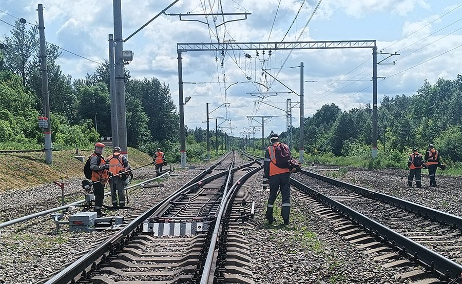 От сорной растительности освободили более 110 га полосы отвода железной дороги в Орловской области Работники стальной магистрали освободили от сорной растительности более 110 га вдоль железнодорожного полотна и очистили 90 км полосы отвода от лишней древесно-кустарниковой растительности, провели санитарную вырубку аварийных деревьев.