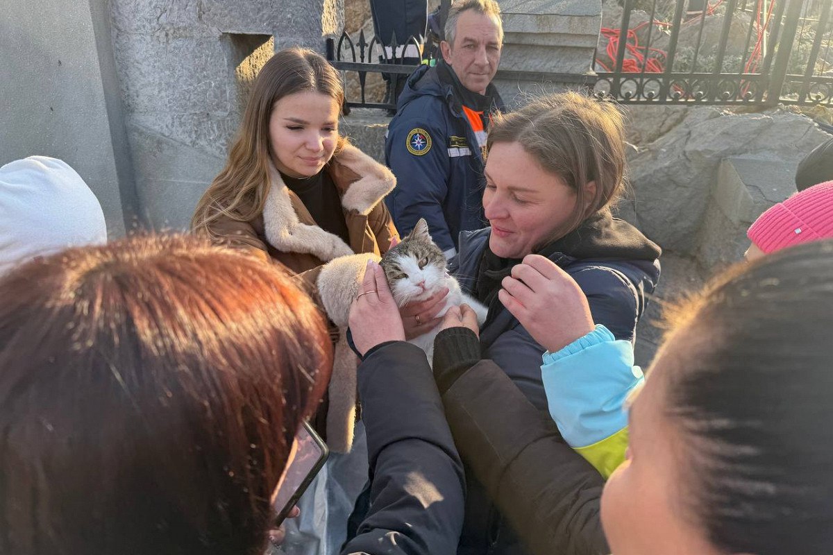 В Крыму закрыли дело в отношении петербуржца который в феврале 2025 года сбросил кошку Мусю с обрыва Ласточкиного гнезда По данным МВД причиной стало отсутствие травм у животного В процессе дознания установлено что согласно заключению эксперта ветеринарного врача у кошки по кличке Муся не обнаружено каких либо повреждений Данное обстоятельство свидетельствует об отсутствии состава преступления так как животное не погибло и не получило каких либо телесных повреждений как внутренних так и внешних сообщили в ведомстве В ноябре 2025 года ветеринар рассказала что Муся полностью восстановилась после перенесенного стресса и сейчас живет полноценной жизнью Больше новостей в Daily News