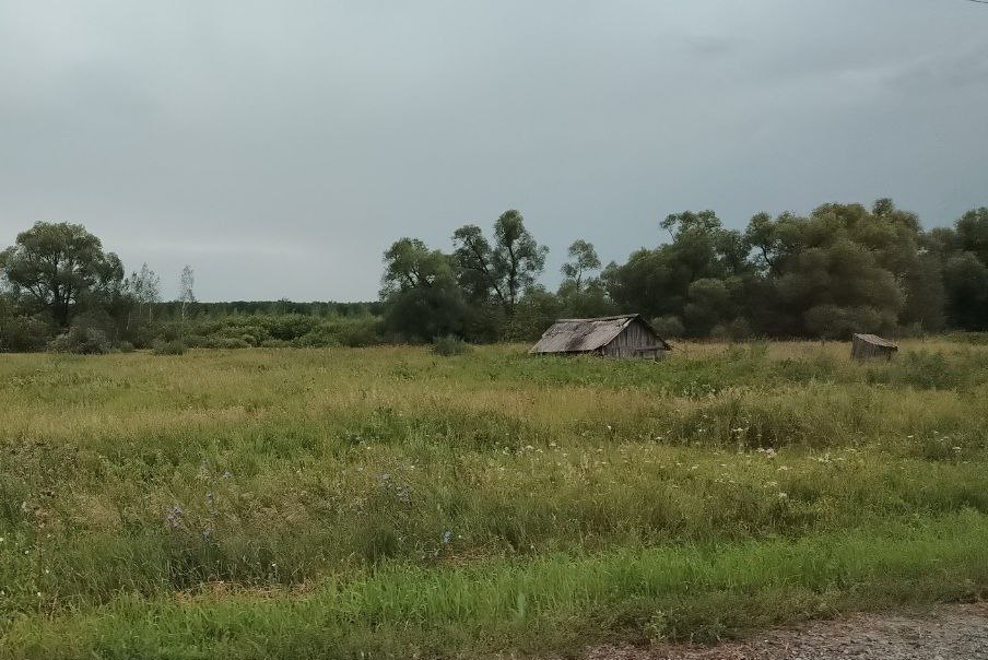 Три населенных пункта исчезли с карты Новосибирской области Январская сессия регионального парламента в двух чтениях проголосовала за ликвидацию трех населенных пунктов Они находились в Сузунском и Болотнинском районах Напомним в 2025 году с карты исчезли восемь деревень и поселков в Болотнинском Каргатском Коченевском и Чулымском районах Больше всего ликвидаций в Болотнинском и Каргатском районах Подробнее читайте по ссылке INFOPRO54 Фото Infopro54 автор Юлия Данилова