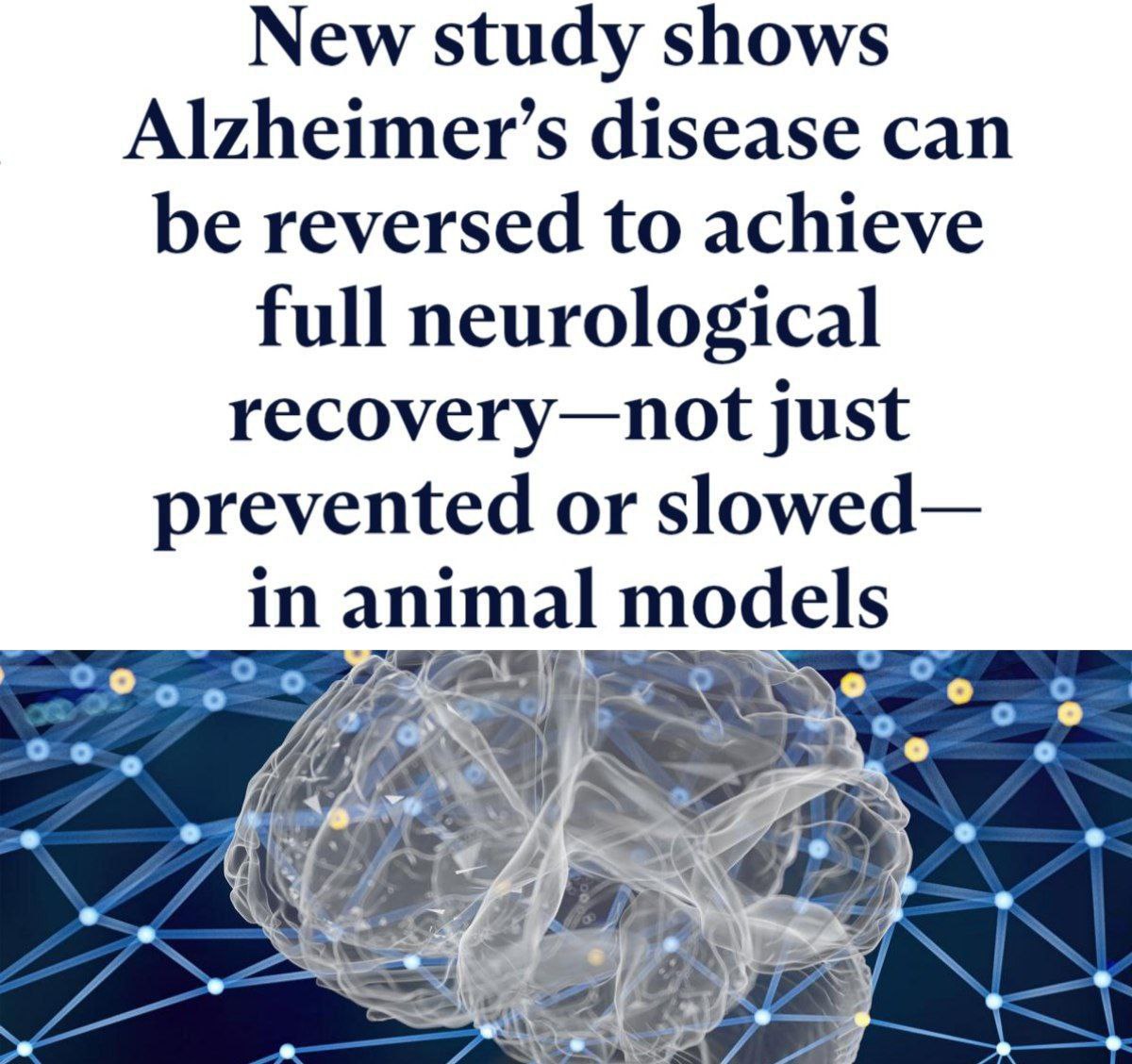 Болезнь Альцгеймера победили У мышей с экспериментальной моделью заболевания препарат P7C3 A20 полностью восстановил нейронные связи и когнитивные функции После лечения грызуны снова успешно проходили тесты на память и обучение показывая обратимость симптомов деменции Прямой эфир Наш MAX