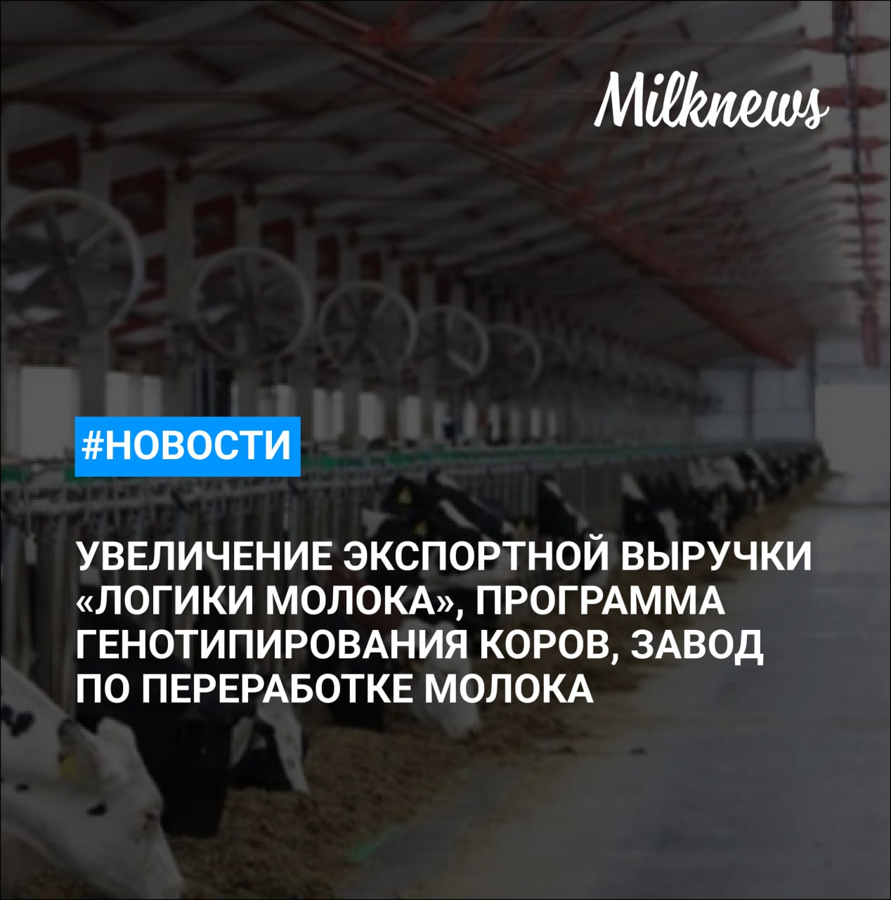Логика молока в 2025 году увеличила экспортную выручку на 14 Кировская область рассчитывает на создание завода по переработке молока с участием Савушкина продукта Ярославская область в 2026 году направит более 26 млн руб на программу генотипирования коров Юговской молкомбинат требует с ООО Лагуна Койл 8 8 млн руб Уфимский Квантум лишился месторождений из за крупного инвестпроекта Молочные фермы Урожай
