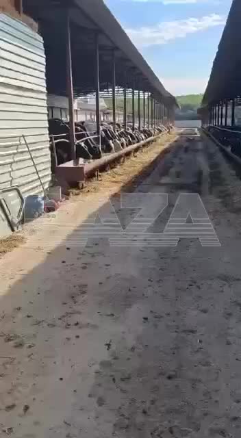 Мошенница из Крыма обманула инвесторов на 104 миллиона рублей