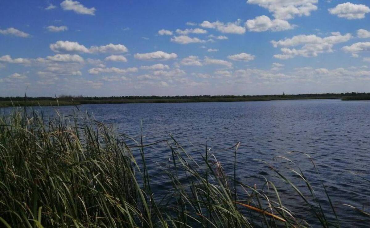 На Светлогорском водохранилище обнаружили тело утонувшего мужчины После 21.00 спасателям поступило сообщение об обнаружении утонувшего мужчины в водохранилище около поселка Сосновый Бор Светлогорского района. Работники МЧС извлекли из воды тело гражданина 1972 года рождения. Причины и обстоятельства гибели устанавливаются.