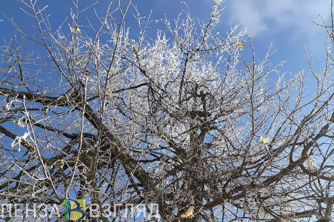 31 декабря жителей Пензенской области ожидает сильная магнитная буря   Лаборатория солнечной астрономии Института космических исследований предупреждает, что 31 декабря и 1 января жителей Земли ожидают магнитные бури, связанные с повышенной солнечной активностью.  Во вторник они начнутся с 6 часов утра. Своего пика предновогодняя магнитная буря достигнет в период с 12 до 15 часов - ученые оценивают ее уровень как G3, то есть «сильная».  После этого ее мощь начнется угасать, однако в первый день Нового года ожидается новый скачок солнечной активности. На этот раз магнитная буря будет слабой, но ощутимой для страдающих сердечно-сосудистыми заболеваниями людей. Окончательно магнитосфера должна успокоиться к 9 часам утра 1 января, прогнозируют специалисты.    -Взгляд   Прислать новостей