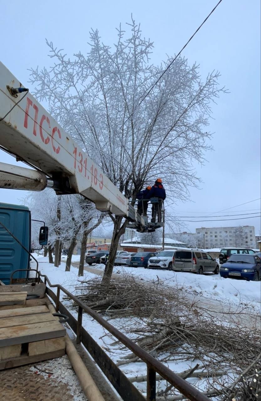 В Кирове продолжаются работы по обрезке деревьев на улично-дорожной сети  Уже сейчас полностью завершены работы по обрезке на улицах Розы Люксембург, Преображенской, Милицейской, Азина. Работы продолжаются на улицах: Производственной, Горького и Мелькомбинатовском проезде.   Подписаться