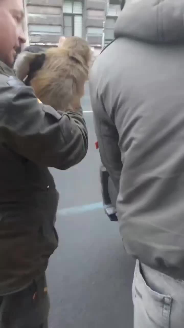 В Санкт-Петербурге разыскивают пропавшую макаку Машу после кражи