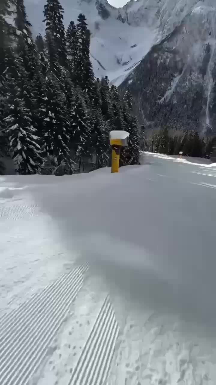 Волк преследовал сноубордиста на горнолыжной трассе в Домбае