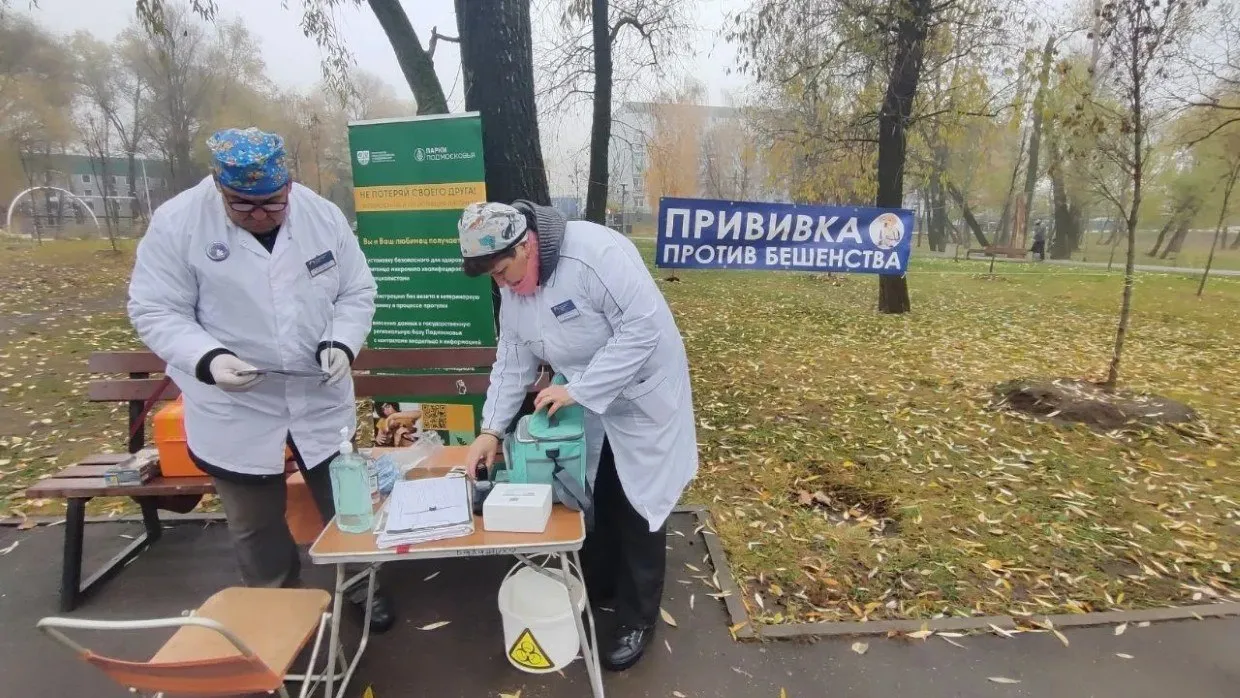 Защитите питомца от бешенства 16 апреля с 11 00 до 13 00 в парке Фабричный пруд вход со стороны улицы Гагарина пройдёт бесплатная вакцинация домашних животных против бешенства Прививки будут делать отечественным препаратом Рабикан Приём ведёт ведущий ветеринарный врач ГБУВ МО Терветуправление 5 Бешенство смертельно опасное заболевание Прививка простой и надёжный способ защитить питомца Она даёт стопроцентную гарантию что животное не заболеет По желанию можно также чипировать и зарегистрировать зверя Самостоятельно оформить заявку на регистрацию можно через портал РПГУ Все подробности уточняйте по телефонам ветеринарной станции Балашихи и Реутова 7 495 791 37 62 8 498 661 93 14 или на сайте tervetupr05 ru Подписывайтесь на ПроРеутов в МАХ