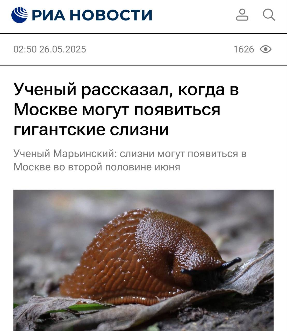Садоводов и дачников предупредили, что Москву заполонят гигантские слизни длиной до 15 см. Биологи предупредили, что нашествие слизней ожидается во второй половине июня, если погода будет теплой. При прохладной погоде - это середина июля. На ранних стадиях слизни почти незаметны, но они очень быстро растут, а ещё могут проникать в квартиры на нижних этажах жилых домов.