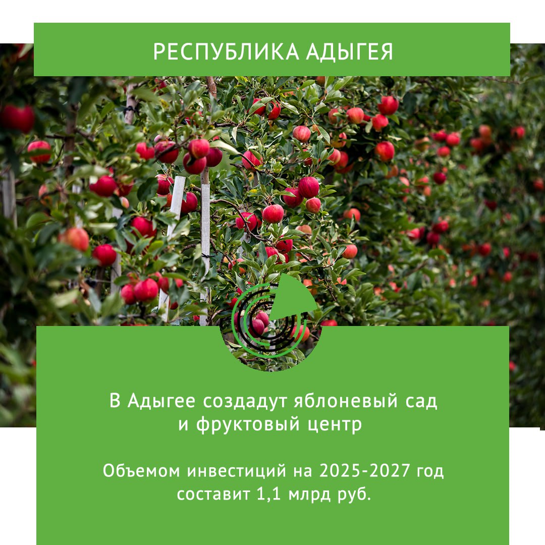 В АДЫГЕЕ СОЗДАДУТ ЯБЛОНЕВЫЙ САД И ФРУКТОВЫЙ ЦЕНТР Проект по закладке многолетних яблоневых насаждений и строительству фруктового центра в Адыгее с объемом инвестиций 1 1 млрд руб реализуют до 2027 года Об этом РБК Краснодар сообщили в пресс службе министерства экономического развития и торговли республики Проект предусматривает закладку сада яблони и новое строительство современного предприятия по хранению и сортировке яблок Сроки реализации инвестиционного проекта 2025 2027 годы говорится в сообщении Вместе с тем ИП КФХ Деркачева Е А планирует закладку яблоневого сада интенсивного типа на 95 га строительство плодохранилища системы капельного полива и орошения сада Объем инвестиций составит 1 5 млрд руб Реализовать этот проект планируется до 2028 года За пять лет аграрии Адыгеи заложили 1 2 тыс га многолетних насаждений это почти 30 всей площади в сельхозорганизациях и КФХ