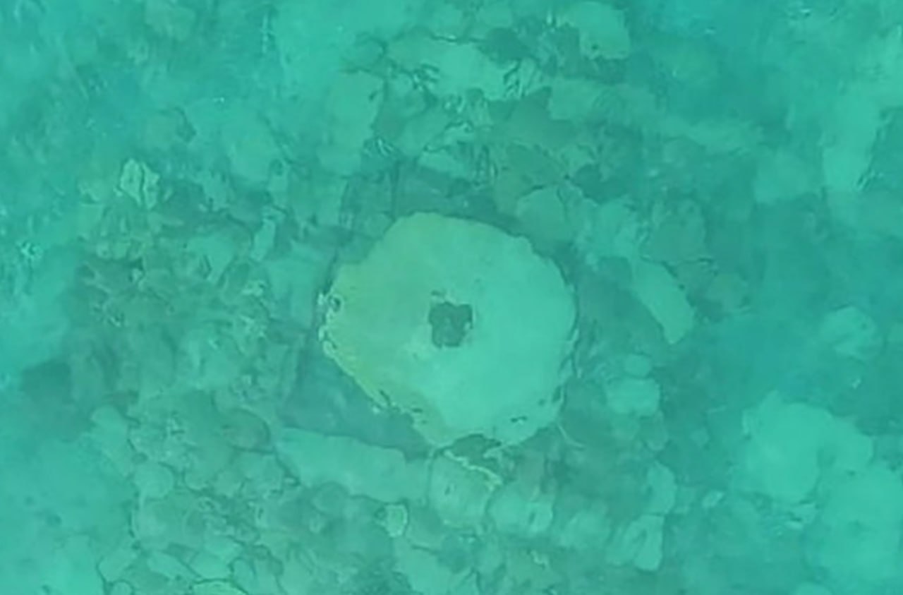 Под озером Иссык Куль нашли Атлантиду Средней Азии Археологи обнаружили на дне озера Иссык Куль в Кыргызстане следы средневекового города затонувшего после мощного землетрясения в XV веке Город когда то был процветающим торговым центром на Шёлковом пути Теперь затопленное поселение даёт уникальную возможность изучить исчезнувшую цивилизацию Это одно из крупнейших подводных археологических открытий в Центральной Азии Фото РАН Подписаться на МК в Telegram в MAX