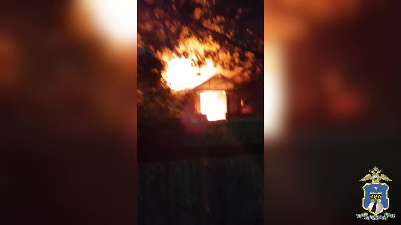В Петербурге задержан мужчина, угрожавший ножом при попытке похищения собаки