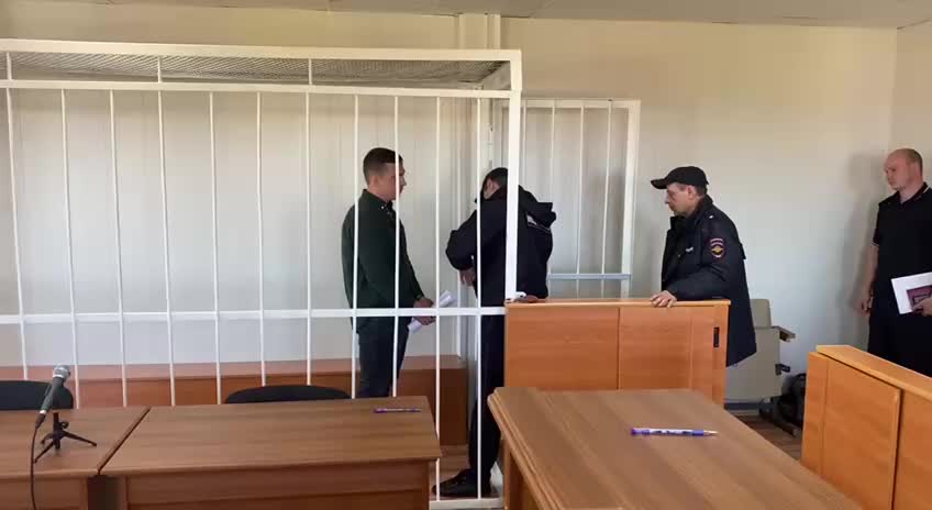 Гид на Камчатке осуждён на 4,5 года за гибель восьми туристов на вулкане Ключевская Сопка