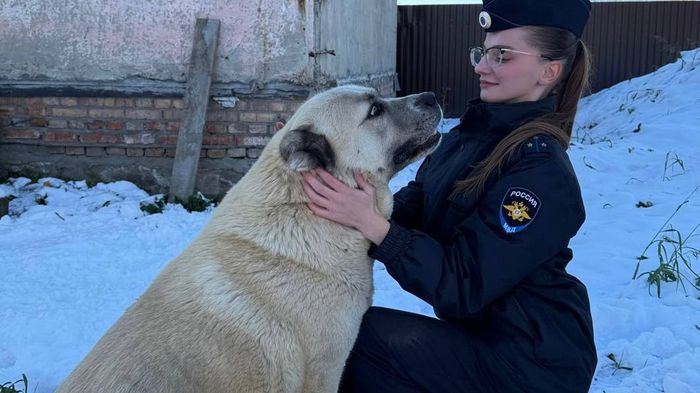 Две красавицы под Омском девушка следователь за день нашла украденного алабая Полицейские Кормиловского района Омской области вернули жительнице села Победитель щенка алабая которого похитили прямо со двора ее дома Взволнованная женщина рассказала стражам порядка что двое односельчан средь бела дня увезли годовалую Грету Пока один в доме уговаривал хозяйку отдать или продать щенка второй вышел во двор забрал собаку и посадил в машину После злоумышленники уехали и спрятали щенка в соседней деревне Старший следователь полиции Татьяна Шишкова и ее коллеги оперативники в тот же день нашли и Грету и воров Щенка уже вернули в семью Сейчас решается вопрос о возбуждении уголовного дела