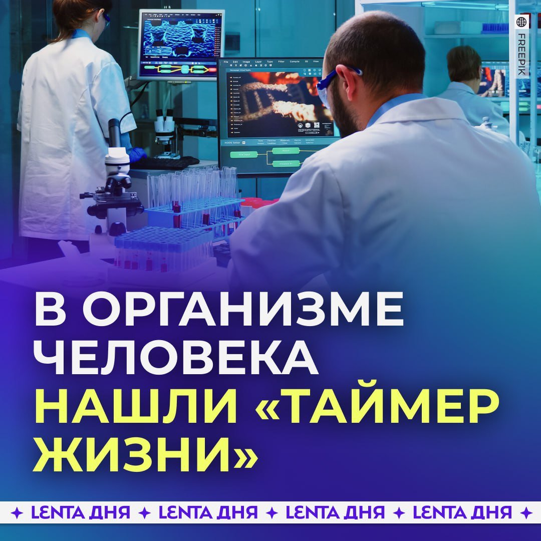 В клетках человеческого организма найден «таймер смертности».  Размер ядрышек клеток может «отмерять» срок их жизни и служить маркером старения человека, выяснили учёные.   Открытие позволяет предположить, что «антивозрастные» диеты с ограничением калорий, могут замедлить процесс старения.   Ставь  , если возьмёшь на заметку