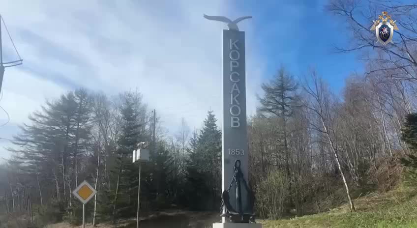 В Корсакове возбуждено уголовное дело против мужчины, сбившего пешехода