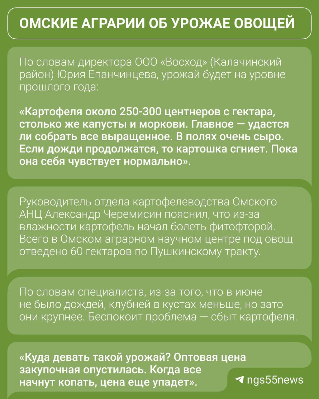 В Омской области в этом году ожидается хороший урожай овощей но есть один нюанс Что ngs55news сообщили аграрии занимающиеся их выращиванием читайте в карточке