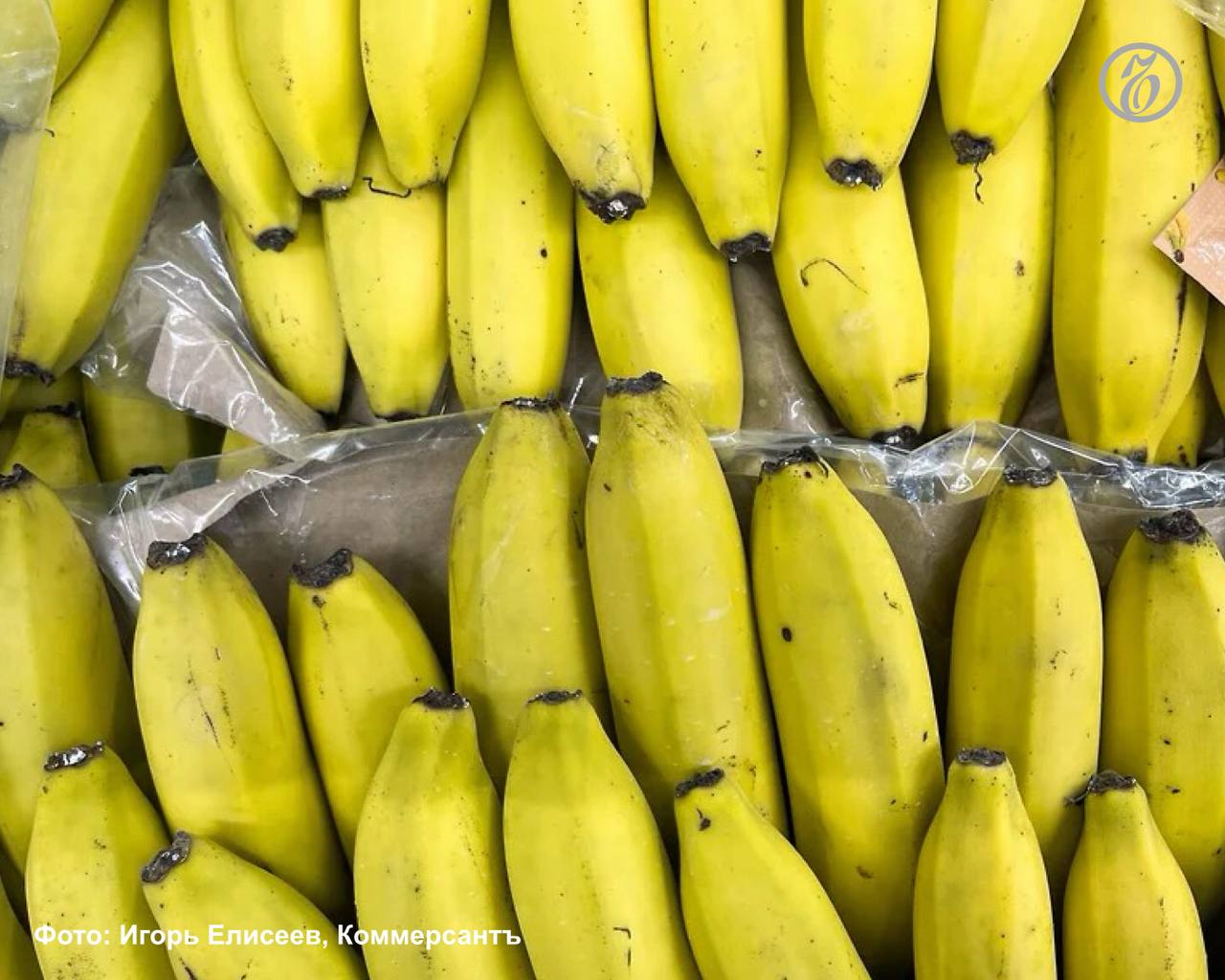 За январь сентябрь 2025 года оборот продаж на рынках и ярмарках Краснодарского края достиг 187 млрд руб Объем торговли вырос на 16 2 по сравнению с аналогичным периодом прошлого года сообщает пресс служба администрации региона В регионе функционирует свыше 1 тыс местных рынков и ярмарок Торговые площадки расположены на центральных улицах городов в жилых микрорайонах и специально оборудованных местах вдоль автомагистралей Для наших жителей и гостей края это возможность покупать свежие кубанские продукты по доступным ценам напрямую у производителя А это не только гарантия качества но и реальная поддержка местных фермеров заявил губернатор региона Вениамин Кондратьев Подписывайтесь на Ъ Кубань Оставляйте бусты