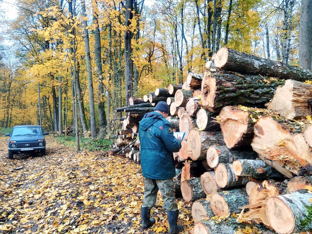 В Серебряных Прудах проведена санитарная рубка Вблизи деревни Благодать муниципального округа Серебряные Пруды сотрудники Луховицкого филиала ГАУ МО Мособллес завершили сплошную санитарную рубку Работы проведены в рамках государственного задания на 2025 год и направлены на улучшение санитарного состояния лесов Московской области удаление погибших и повреждённых деревьев помогает сохранить здоровье насаждений и предотвратить распространение вредителей Сотрудники Зарайского участкового лесничества осмотрели лесосеку проверили качество очистки территории и произвели перечёт вырубленной древесины для последующей реализации Весной на месте вырубленного леса будет проведена обработка почвы и высадка сеянцев хвойных пород выращенных в питомниках Московской области отметил помощник участкового лесничего Олег Павлов лес лесничество Мособллес mosoblcomles