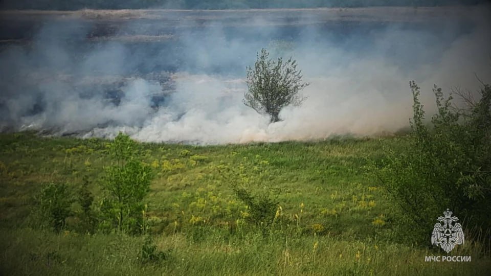 В ЛНР прогнозируют высокий риск возникновения лесных пожаров    В июле в ЛНР ожидается вероятность повышенной опасности возникновения пожаров в лесах. Предварительный прогноз рисков возникновения пожарной опасности в лесах России на июль 2025 года разработал Рослесхоз и подведомственное ему ФБУ «Авиалесоохрана» В ЛНР  Согласно прогнозам, опасность возникновения пожаров существует в ряде регионов Южного федерального округа. Помимо ЛНР, к ним относятся Республика Адыгея и Крым, ДНР, Волгоградская, Запорожская, Херсонская и Ростовская области, некоторые районы Краснодарского края, Астраханской области и Калмыкии.  Напоминаем, что на всей территории Луганской Народной Республики до 31 октября 2025 года действует особый противопожарный режим.