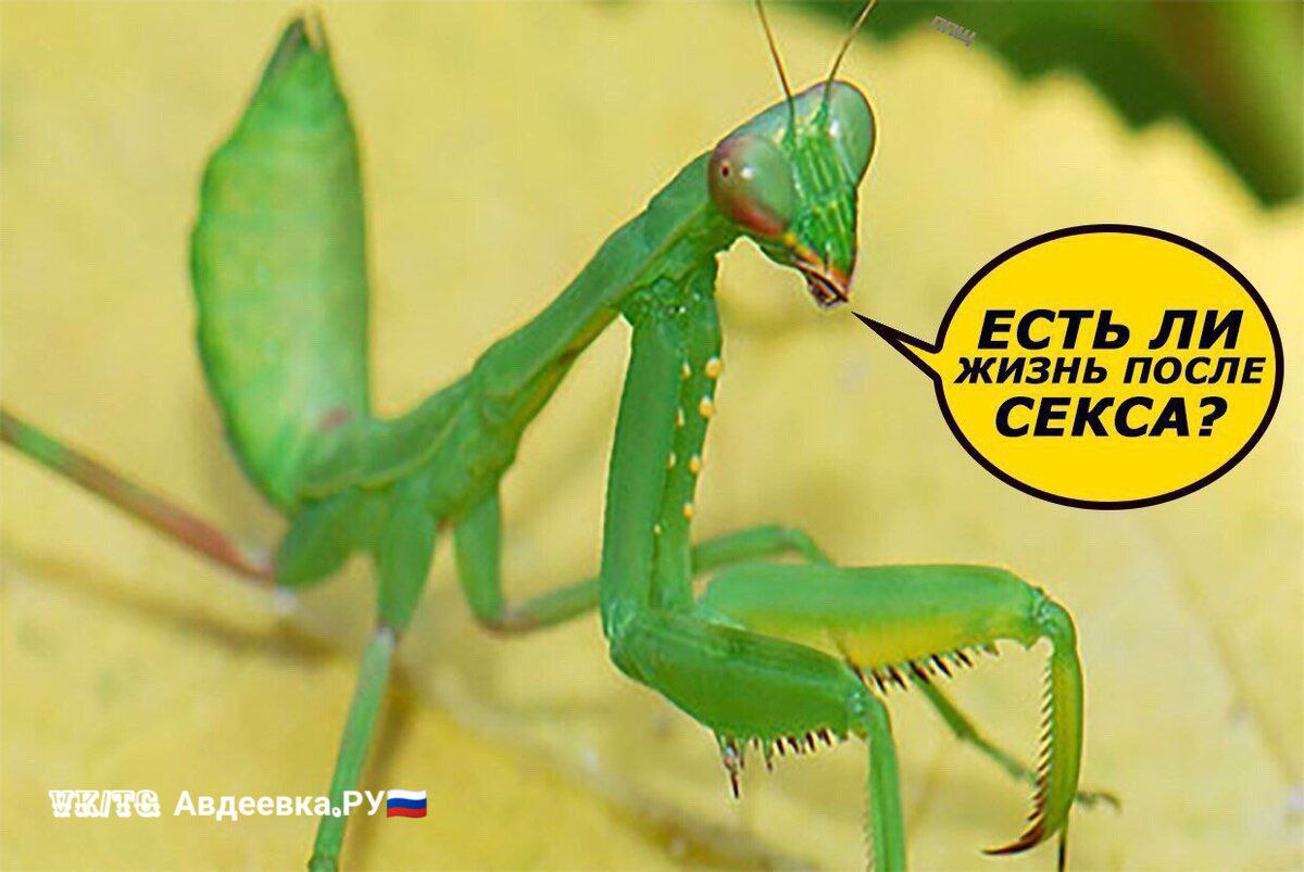 Секс продлевает жизнь женщинам но сокращает ее мужчинам исследование Регулярная близость укрепляет работу сердца и снижает вероятность депрессии однако для мужчин секс увеличивает риск преждевременной смерти в 6 раз а теперь всем быстро и много целоваться
