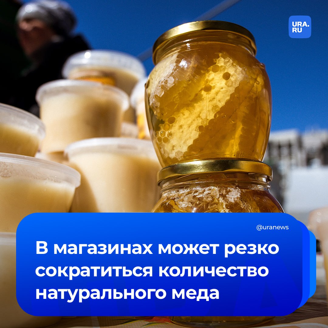 После Нового года на полках российских магазинов может резко сократиться количество натурального меда Такое развитие событий спрогнозировали в Союзе пчеловодов России Сегодня стоимость сертификации выросла настолько что для части пасечников становится невыгодно сдавать мед переработчикам В результате на прилавках будет больше медовых продуктов а не чистого меда заявили Парламентской газете в Союзе пчеловодов По информации Роскачества проверка фасованного меда в крупнейших торговых сетях показала только 13 из 20 торговых марок предлагают действительно натуральный продукт В остальных образцах были обнаружены примеси сахарных или иных сиропов Кроме того в продукции девяти брендов реальный вид меда не соответствовал заявленному на этикетке вместо цветочного предлагался подсолнечниковый или гречишный мед Также у одной из торговых марок выявили признаки перегрева продукта что влияет на зрелость и биологическую ценность лакомства Подписаться на URA RU мы в MAX