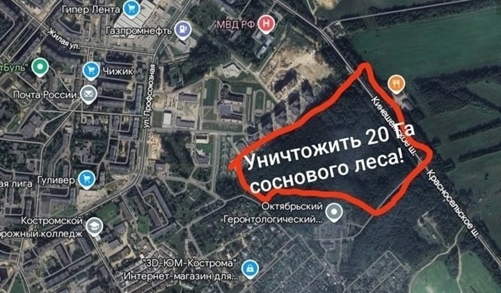 Костромичи встают на защиту 20 гектаров уникального леса  Горожане уверены — за попыткой уничтожения зелёной зоны стоит чей-то коммерческий интерес.  Лес на улице Валентины Плетнёвой много лет служил костромичам местом отдыха. Однако 10 апреля на публичных слушаниях было принято решение изменить статус этой территории и отдать её под застройку. Жители соседнего ЖК «Лесной» считают, что теперь на месте вековых сосен могут вырасти многоэтажки. Проведённые мэрией слушания они называют «фейковыми». О собрании им никто не сообщил, а значит мнение костромичей проигнорировали.  С 19 до 20 часов, 12 августа, во дворе домов №8 и №10 по улице Черногорской  микрорайон Катино  состоится сбор подписей против вырубки.  Ситуация дошла до Следственного комитета. Александр Бастрыкин поручил провести процессуальную проверку, чтобы установить все обстоятельства дела. Но пока решения нет, и каждый день промедления может стоить Костроме ещё одного уголка природы, который больше никогда не удастся вернуть.