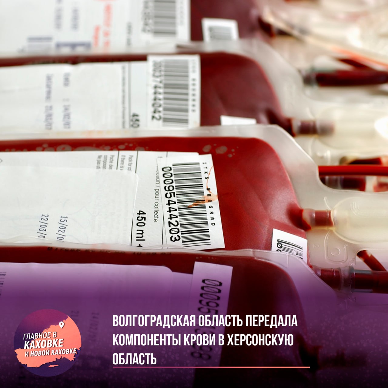 Волгоградская область передала компоненты крови в Херсонскую область Волгоградский областной центр крови осуществил передачу около 200 литров компонентов донорской крови для нужд медицинских учреждений Херсонской области. Эти компоненты были заготовлены от жителей Волгограда и его области. В отправлении содержится почти 90 литров эритроцитсодержащих компонентов и более 100 литров свежезамороженной плазмы. Транспортировка осуществлялась с соблюдением всех необходимых температурных условий в специализированных рефрижераторах. Подобные поставки проводятся регулярно, и в прошлом году коллектив Волгоградского областного центра крови получил благодарность от Министра здравоохранения РФ за поддержку медицинских организаций Херсонской области.