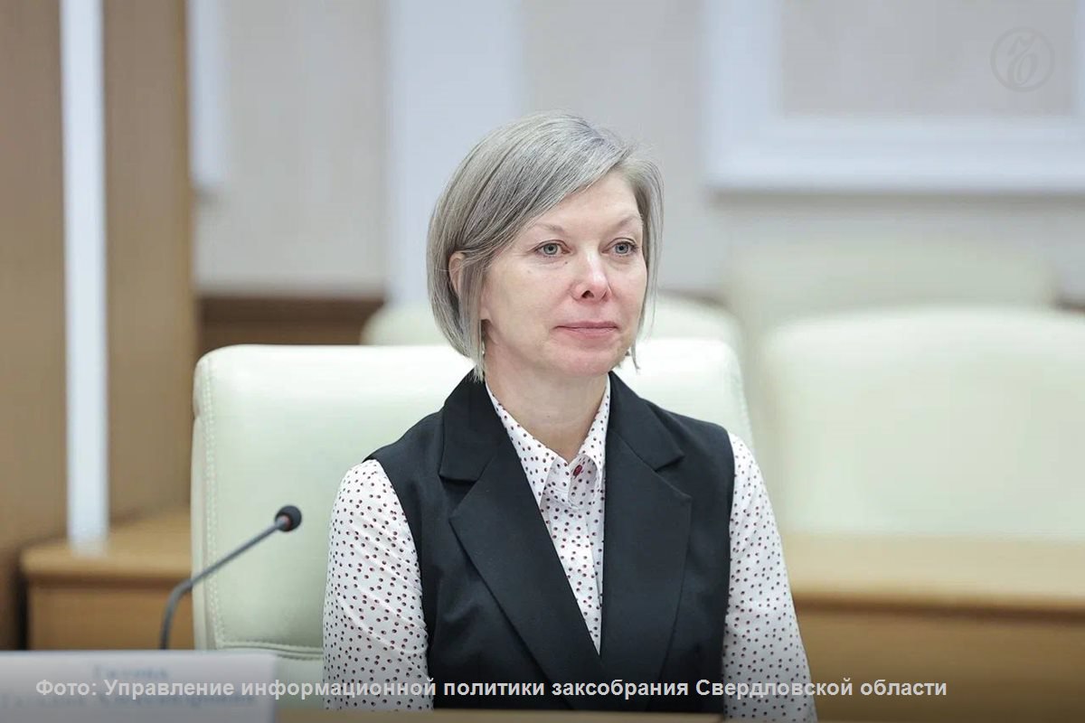 В Свердловской области до конца 2025 года появится региональный детский общественный совет Как сообщила новый региональный уполномоченный по правам ребенка Татьяна Титова он должен помочь собирать обратную связь от детей региона став механизмом ее сбора Подписывайтесь на Ъ Урал