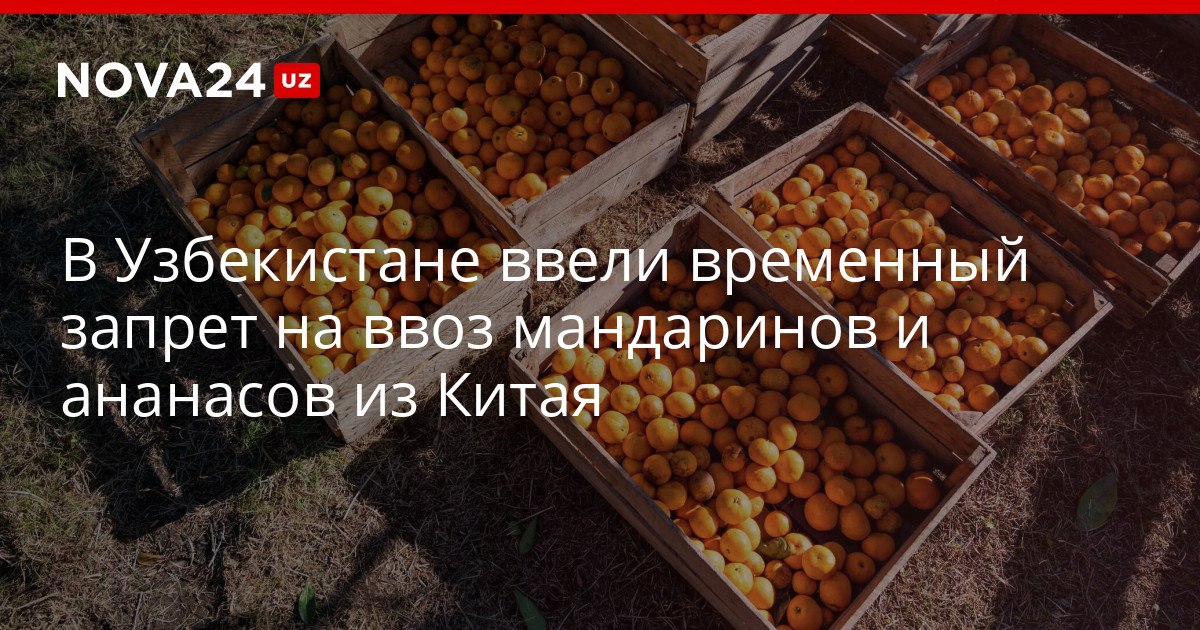 В Узбекистане ввели временный запрет на ввоз мандаринов и ананасов из Китая В 20 партиях выявлены вредные организмы nova24 uz 320448 YouTube Instagram Telegram
