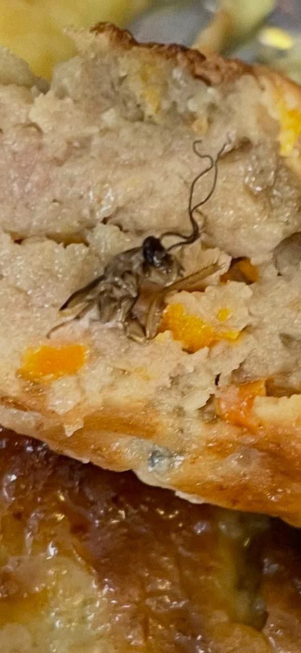 Прокуратура проводит проверку качества питания в школе 11 во Владивостоке В ходе мониторинга социальных сетей выявлены публикации о низком качестве школьного обеда Подпишись vdk i tochka