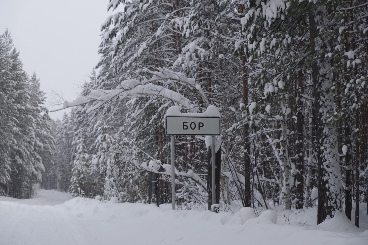 В Туруханском и Енисейском округах завершилось строительство волоконно оптической линии связи За два года оператор Ростелеком проложил около 600 км кабеля вдоль реки Енисей по маршруту д Анциферово д Колмогорово д Назимово п Новоназимово п Сергеево д Нижнешадрино д Фомка с Ярцево п Кривляк д Никулино п Зотино п Ворогово п Индыгино п Бор Бульдозеры кабелеукладчики гусеничные экскаваторы и материалы доставляли к месту стройки на грузовых судах по Енисею и на болотоходах по суше Теперь предстоит переключить социально значимые объекты базовые станции в этих населенных пунктах со спутника на оптику что позволит значительно увеличить скорость интернета рассказал министр цифрового развития края Николай Распопин Развитие инфраструктуры связи является основным мероприятием нацпроекта Экономика данных Больше оперативной информации в МАХ