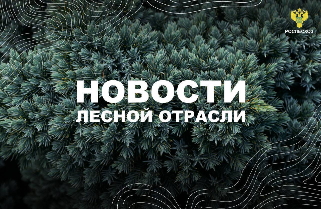 ТАСС: Более 50 тыс. единиц лесной техники подключили к «ЭРА-ГЛОНАСС» с сентября 2024 года    AK&M: Рослесхоз: в 2024 году объем просроченных обязательств по компенсационному лесовосстановлению сократился на 64%    МИР24: Начальник ФБУ «Авиалесоохрана» Алексей Панов рассказал о причинах ранних лесных пожаров в 2025 году    Вести Тамбов: В Тамбовской области высадят 550 тысяч сосен в честь 80-летия Победы