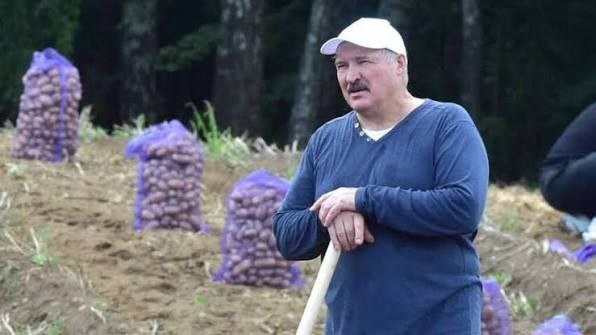 Лукашенко подарил художнице из Минска большой мешок картошки и признался что сам страшно любит картошку Художница из Минска подарила президенту Беларуси картину которую он с удовольствием принял пообещав разместить во Дворце Независимости Лукашенко в ответ подарил художнице сладости и большой мешок картошки Он уточнил у художницы любит ли она картошку и сказал Я страшно люблю Вчера согрешил съел Caucasian bureau